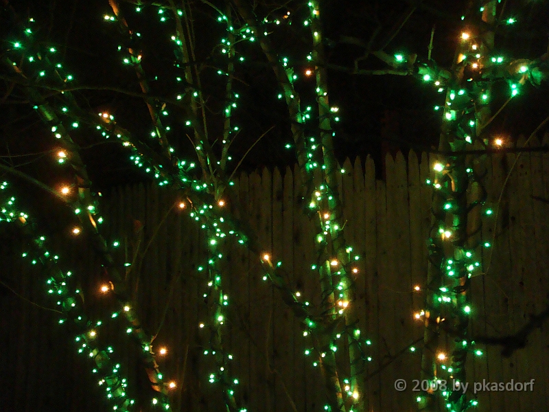 052 Toledo Zoo Light Show [2008 Dec 27].JPG - Scenes from the Toledo Zoo Light Show.